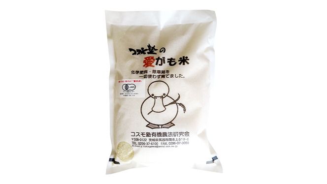 愛がも米 「 コシヒカリ 」 2kg ( 精米 ) 令和7年産 除草剤不使用 農薬不使用 化学肥料不使用 米 コメ こめ こしひかり  [AI001ci]