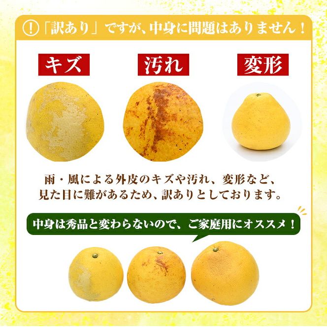 ＜先行予約受付中！2027年2月下旬以降順次発送予定＞訳あり！まなべみかん園のサワーポメロ(約19kg) 国産 鹿児島県産 阿久根市産 柑橘類 果物 フルーツ 数量限定 デザート 訳アリ 【有限会社まなべみかん園】akn034-23