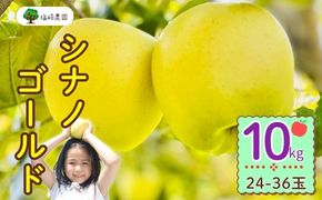 【先行予約丨2026年10月下旬より順次発送】シナノゴールド【約10kg (22〜40玉)】(At-016)丨長野県 飯山市 おすすめ ランキング おいしい 高評価 大人気 先取り 産地直送 りんご