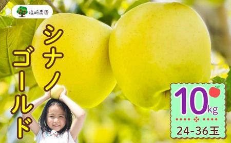 【先行予約丨2026年10月下旬より順次発送】シナノゴールド【約10kg (22〜40玉)】(At-016)丨長野県 飯山市 おすすめ ランキング おいしい 高評価 大人気 先取り 産地直送 りんご