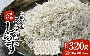  豊後水道産　ふわふわしらす (合計320g・40g×8袋) 冷凍 白洲 しらす 詰め合わせ 丼ぶり 魚 さかな ご飯 ごはん 炒飯 チャーハン パスタ スパゲティ サラダ 国産 大分県 パック 【CT02】【 (有)高橋商店】