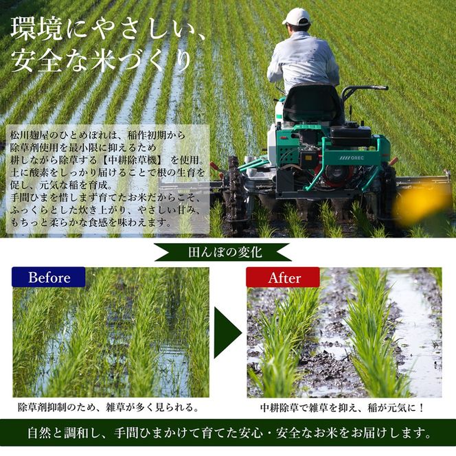 【先行予約】【令和8年産米】ひとめぼれ10kg　会津磐梯山の恵みこだわり栽培米　令和8年10月下旬頃より発送予定　減農薬　会津産　福島産