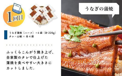 【 3回 お届け 】 便利 でうれしい！ 小分け 定期便 毎月届く 小分けパック ストック 保存食 冷凍 冷凍食品 惣菜 おかず パン 冷凍パン 食パン うなぎ 鰻 ハンバーグ お弁当 弁当 ごちそう 贅沢 高知 四万十市 四万十 しまんと 25-0020