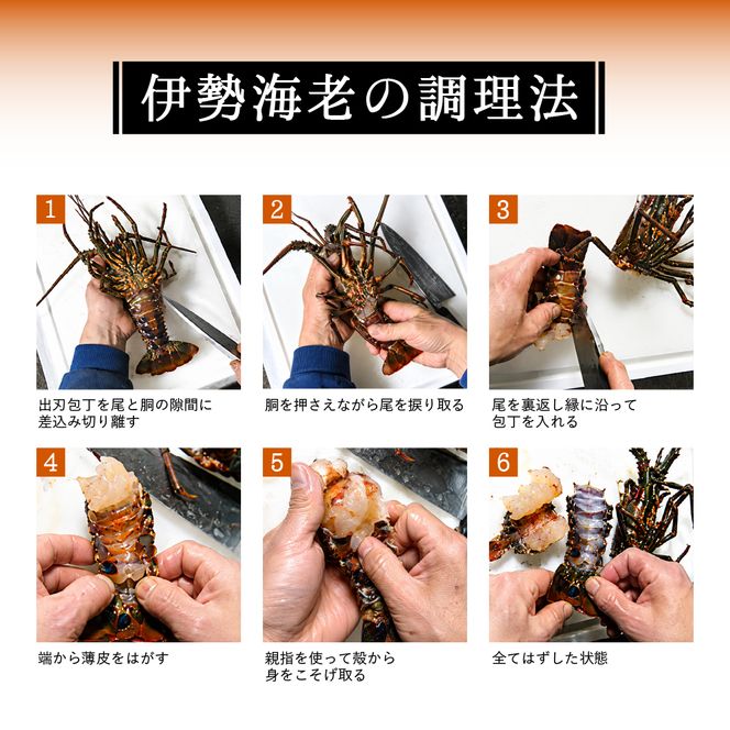 L-5活伊勢海老セット