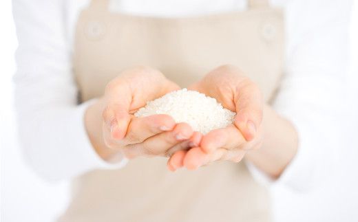 《 令和７年産米 》花巻ひとめぼれ10kg 【1664】