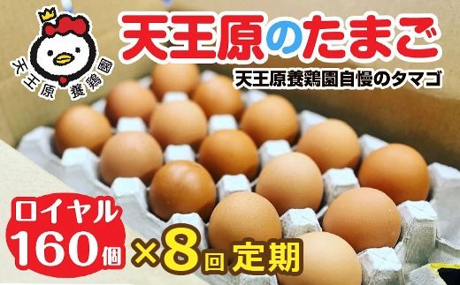 【定期便】8回定期 【天王原のたまご】 ロイヤル卵160個入り【定期便 8回定期便 セット たまご 卵 玉子 タマゴ 濃厚 ハリ 弾力 ボリューム 甘味 旨味 卵黄 風味 生 コク 甘味 卵かけご飯 卵焼き 目玉焼き オムレツ 茶碗蒸し お菓子作り パンの材料】
