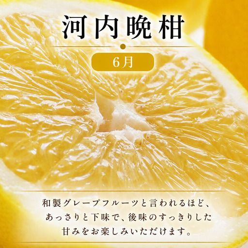定期便 4回 4ヶ月 レモン ポンカン 美生柑 河内晩柑  柑橘 みかん 蜜柑 みしょうかん フルーツ 果物 くだもの ばんかん かんきつ ゼリー ジュース アイス マーマレード 旬 季節 限定 贈答 ギフト mikan ジューシー サラダ ピール 厳選 国産 愛媛 ご当地ブランド 愛媛県 愛南町 フルーツアイランド・マルエム直販