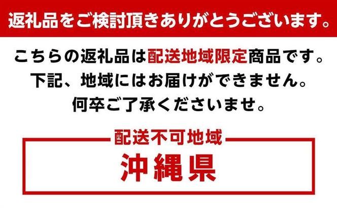 TB 1人掛けソファ ソファラウンジチェア   Z119