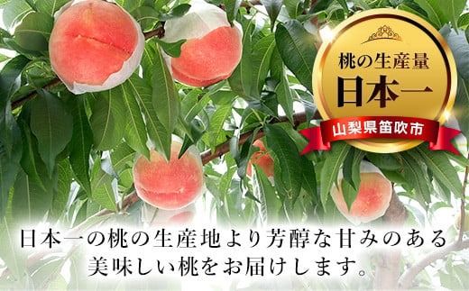 ＜25年発送先行予約＞山梨県 笛吹市産 朝獲り 新鮮 桃 3kg （7～12玉） ※沖縄県・離島への発送不可となります。　※常温配送 126-006