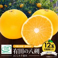 【2027年先行予約】和歌山県産 有田の八朔 (はっさく) 化粧箱入り 【Lサイズ】12個入り まごころ手選別 _ZE6079n