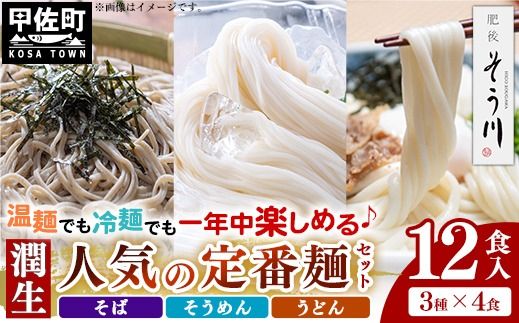 潤生「人気の定番麺」セット12食入り - うどん そば そうめん 饂飩 蕎麦 素麺 麺類 国産 九州産 小麦 つゆ付 国産小麦 手延べ てのべ 潤い 生に戻し 再熟成 こだわり もっちり食感 簡単 煮込むだけ 常温保存可能 人気 おすすめ 熊本県 甲佐町