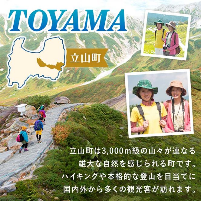 立山町 宿泊施設 宿泊券 15,000円分 宿泊チケット 宿泊 宿 山小屋 山荘 ホテル 旅 旅行 観光 レジャー チケット 登山 トレッキング アルペンルート 山岳観光 立山観光 F6T-1069