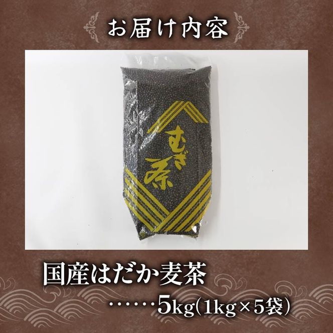 麦茶 のどごしさやか「はだか麦茶」 1kg 入れ 5袋 飲料 大容量 むぎ茶 煮出し 八木音 静岡県 静岡県 藤枝市
