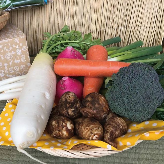 身体が喜ぶ季節の野菜ハーフセット(6～7品)｜野菜 やさい 野菜セット セット 詰め合わせ おまかせ 茨城県 行方市(BI-107)