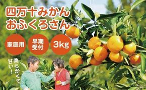 24-1064．【早期受付・数量限定】農家直送！四万十みかん《おふくろさん》3kg【家庭用】【2024年11月中旬より順次配送】