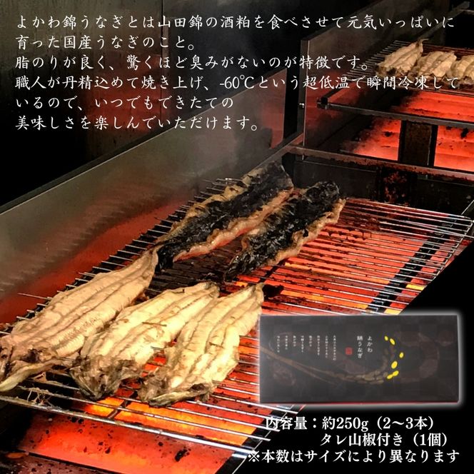 アラジン カセットコンロ ヒバリン 緑 国産 よかわ錦うなぎ 蒲焼き 約250g セット SAG-HB01FG