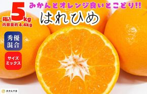 はれひめ みかん 箱込 5kg（内容量約 4.4kg） 秀品 優品 混合 サイズミックス 和歌山県産 産地直送【みかんの会】  AX388