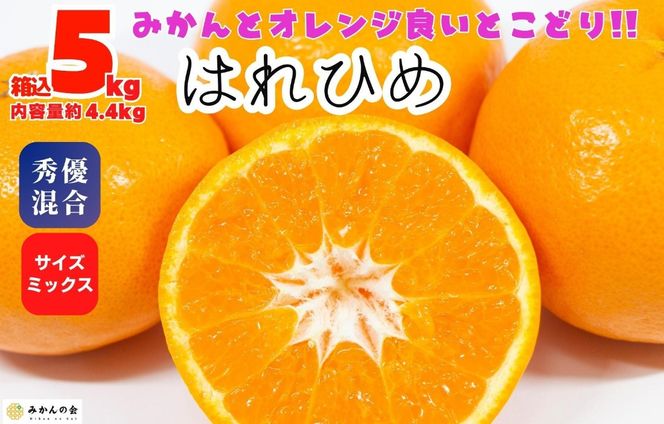 はれひめ みかん 箱込 5kg（内容量約 4.4kg） 秀品 優品 混合 サイズミックス 和歌山県産 産地直送【みかんの会】  AX388