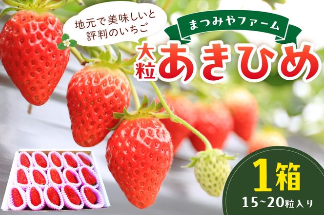 【先行予約／数量限定100】【特選】京都・まつみやファームの大粒いちご（あきひめイチゴ）15～20粒（2025年2月上旬～発送）　MY00001