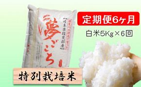 定期便 6カ月【 令和8年産 】毎月  白米 5kg【 夢ごこち 】