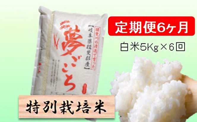 定期便 6カ月【 令和8年産 】毎月  白米 5kg【 夢ごこち 】