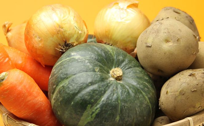 【2026年秋冬発送】富良野 野菜セット 約10kg 人参 かぼちゃ いも 玉ねぎ ごぼう ゆり根 米