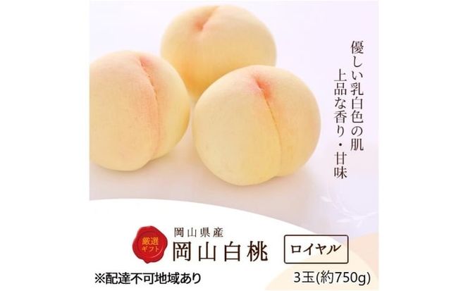 桃 2026年 先行予約 白桃 3玉(約750g)等級：ロイヤル 化粧箱入り もも モモ 岡山県産 国産 フルーツ 果物 セット ギフト[№5735-3264]