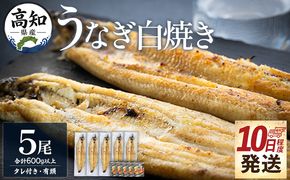 うなぎ 白焼き【10日程度で発送】高知県産鰻の白焼き120～130ｇ 5尾 蒲焼きのタレ5袋 エコ包装 yw-0128
