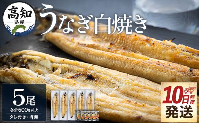 うなぎ 白焼き【10日程度で発送】高知県産鰻の白焼き120～130ｇ 5尾 蒲焼きのタレ5袋 エコ包装 yw-0128