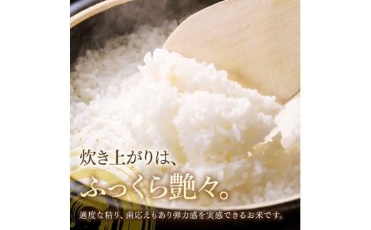 【3ヶ月定期便】【令和7年産】黒木農園のお米「いのちの壱(白米)」5kg 【 米 お米 白米 国産 宮崎県産 いのちのいち おにぎり 】 [D03227t3]