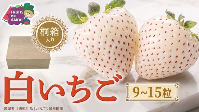 【桐箱入り】白いちご 9～15粒 【2027年1月から発送開始】（茨城県共通返礼品 [いちご]：城里町産） いちご イチゴ 苺 白いちご 白 希少 高級 国産 桐箱入り 贈答 贈り物 ギフト ふるさと納税