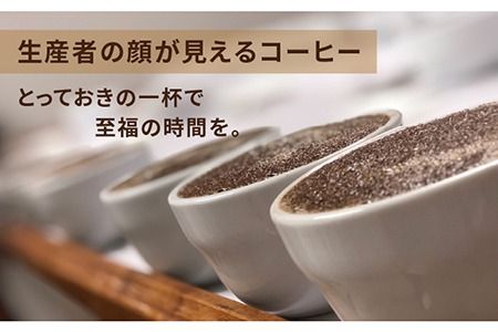 【年内発送】中煎りコーヒー豆250g×2袋 (豆・粉選べます) エルポルベニール農園パカマラ種ナチュラル糸島市 / COFFEE UNIDOS [AQF004] 珈琲 カフェ コーヒー粉
