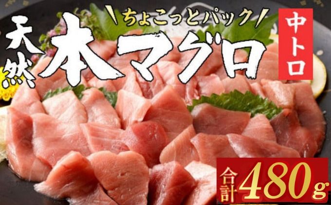 [ 天然本まぐろ ] 中トロ 切落し [ちょこっとパック]480g(60g×8パック)天然まぐろ 本マグロ まぐろ 鮪 マグロ お手軽 食べきりサイズ 切り落とし お刺身 魚介類 海鮮 小分け 魚 魚貝 高知 簡単 簡単調理 惣菜 冷凍 室戸の本マグロ