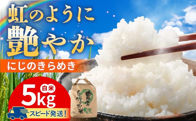 にじのきらめき 白米 5kg 糸島市産 糸島市 / 糸島の恵み コメ こめ ご飯[AGR004]