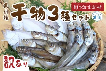 京丹後の地元魚屋が作ったお任せ干物セット（冷凍） TB00024