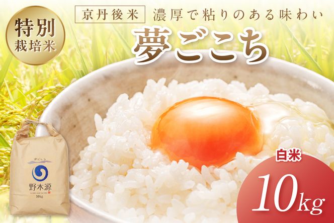 2026年産 京丹後米 特別栽培米夢ごこち10kg（白米）　注文後精米　NO00032
