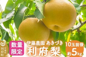 数量限定 利府梨（あきづき）5kg（10玉前後）伊藤梨園 梨の名産地 宮城県利府町産|06_ine-010501