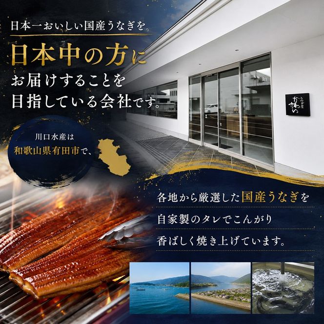 国産うなぎ  蒲焼き 10～15尾セット(合計1.5kg) タレ付き 国産 うなぎ ウナギ 鰻 蒲焼 かば焼き セット 惣菜 冷凍