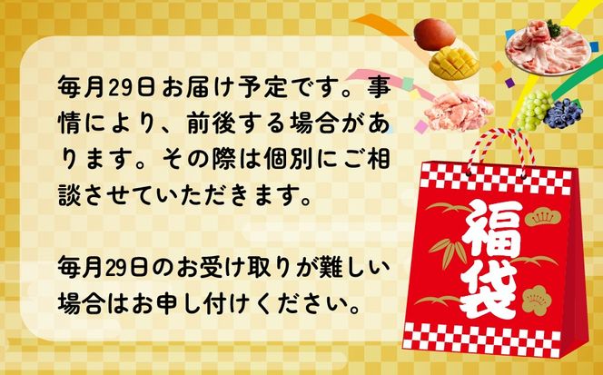 【定期便・全12回】新春おたのしみ 福袋 梅（牛肉 豚肉 鶏肉 果物 フルーツ 限定 2026 定期便 宮崎 小林市）