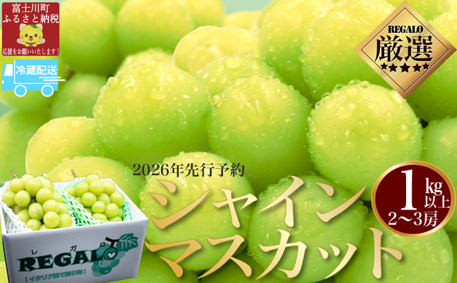 【2026年発送分】【やまなしフルーツ定期便（２回）】 シャインマスカット ～ 1kg以上（2-3房）＆ラ・フランス（1.5kg以上・３-５玉）　定期便　果物 フルーツ くだもの シャイン 洋ナシ 洋梨 洋なし 山梨 やまなし 富士川町