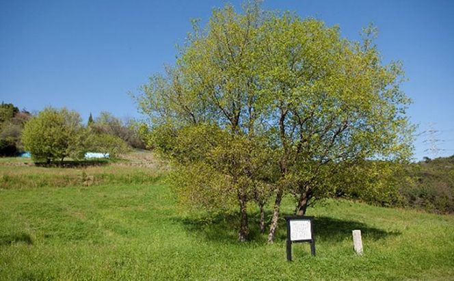 寒風須恵器 蹄脚円面硯（作：末廣 学） 工芸品 インテリア 