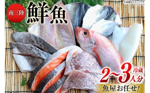 y{錧OzN lߍ킹 CIOyݑN Zbg 2`3l [Ȃ݂̂ {錧 O 30aj0001]  ^R y ق z^e h ώ ؂g