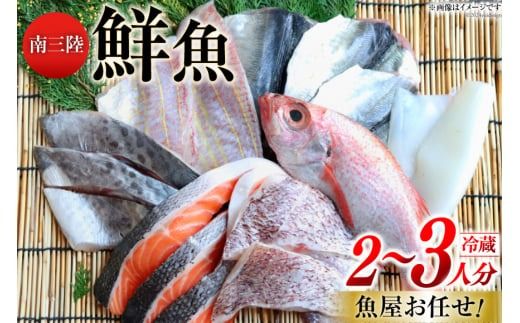 鮮魚 詰め合わせ 魚屋お任せ！南三陸お楽しみ鮮魚 セット 2～3人分 [さかなのみうら 宮城県 南三陸町 30aj0001] 魚 タコ 牡蠣 ほや ホタテ 塩辛 佃煮 切り身