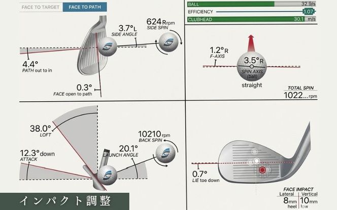 地クラブウェッジ２本お仕立券〈100,000円分〉【エポンゴルフ、アーティザンなど】 piag0002
