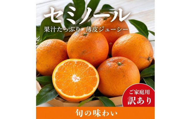 【先行予約】【訳あり・ご家庭用】 セミノールオレンジ 約5kg ジューシー柑橘 和歌山県産