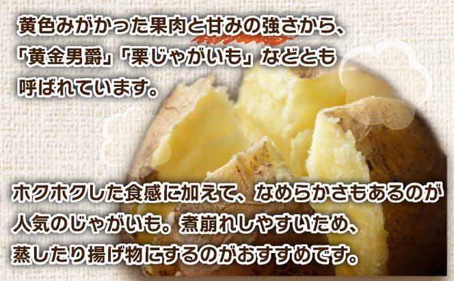 ＜先行予約＞北海道産 じゃがいも(北あかり) 約5kg | ジャガイモ 馬鈴薯 ポテト 芋 イモ きたあかり キタアカリ 野菜 人気 ふじいファーム キャッチコピー