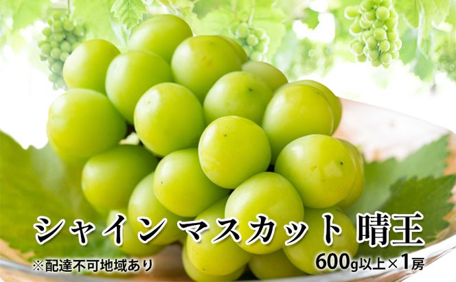 ぶどう 2026年 先行予約 シャイン マスカット 晴王 600g以上×1房 種無し ブドウ 葡萄  岡山県産 国産 フルーツ 果物 ギフト 