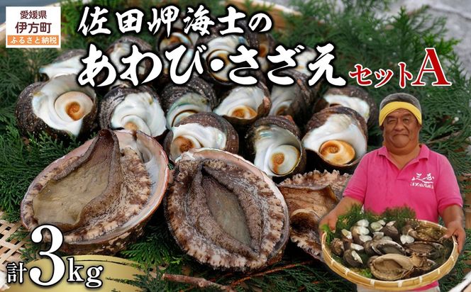 【数量限定】佐田岬海士のあわび・さざえセットA 計3kg ※北海道・東北地方・沖縄・離島への配送不可  IKTJ001 