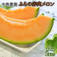 【2026年7月～発送】北海道 富良野市 ふらの赤肉 メロン 2玉 計 約4kg (中島農園) メロン フルーツ 果物 新鮮 甘い 贈り物 ギフト 道産 ジューシー おやつ ふらの ブランド 夏 