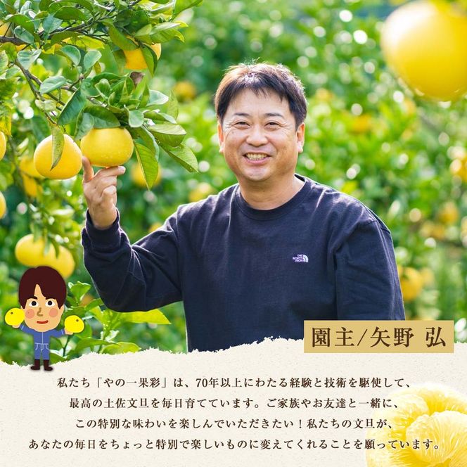 【日本ギフト大賞2024受賞】【先行予約】 園主こだわりの土佐文旦 5kg 小玉（L～Mサイズ） 2027年1月下旬より順次発送 家庭用 贈答用 ぶんたん ブンタン【やの一果彩】 [BQAC017]